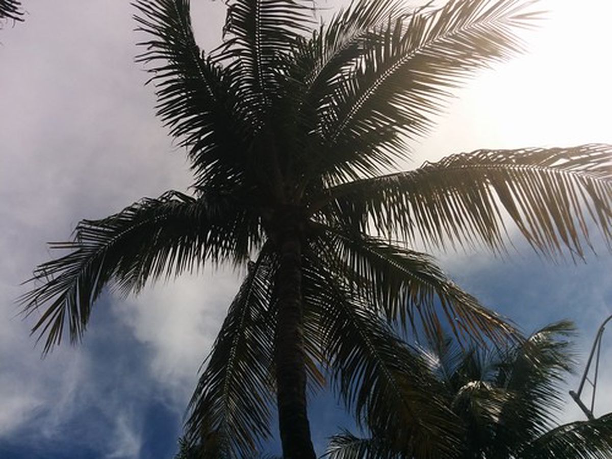 Miami