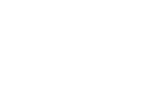 stealth